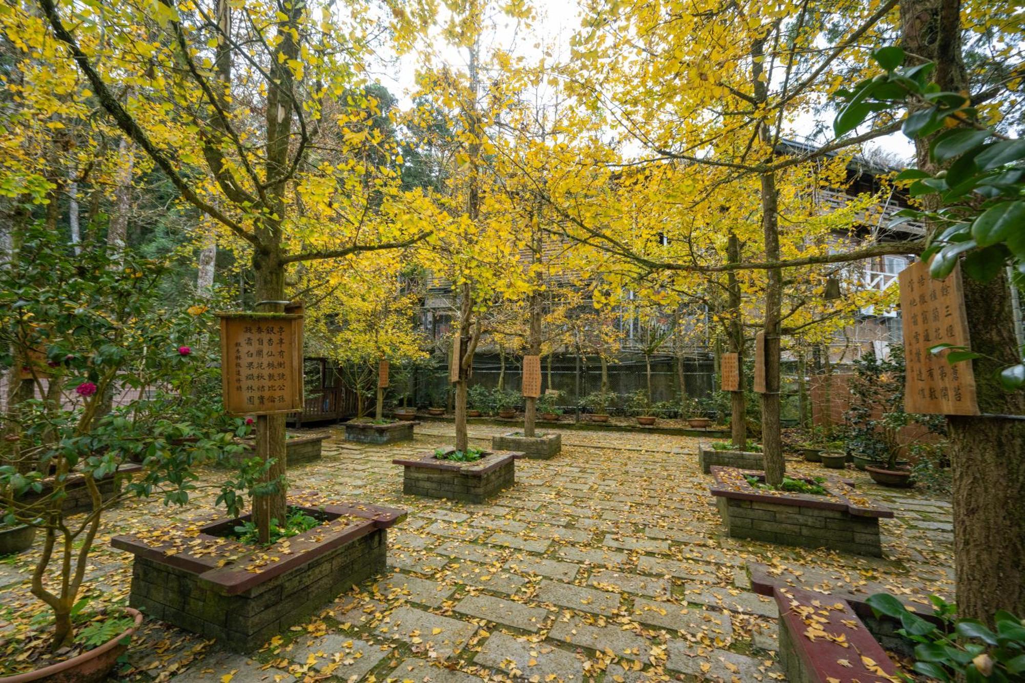 Ginkgo Hotel Lugu Exterior foto